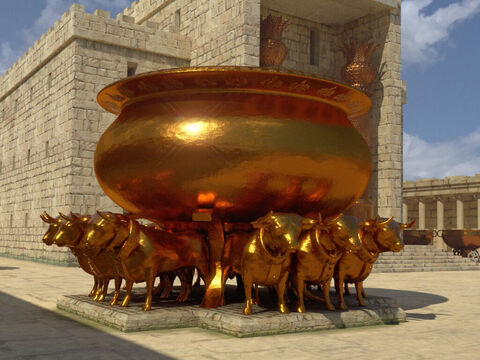 Il y avait un nouvel ustensile à l’angle sud-est du parvis intérieur – qui remplaçait la “cuve” du tabernacle – un immense bassin de bronze appelé la “mer”. Elle avait 5 coudées (2,3 m) de haut, 10 coudées (5 m) de diamètre sur le bord et 30 coudées (15 m) de circonférence. Elle était posée sur 12 bœufs en bronze. Les bœufs faisaient face aux 4 points cardinaux – trois regardant dans chaque direction. – Numéro de diapositive 9