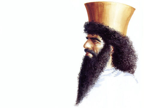 Illustration de Cyrus, par John Heseltine. – Numéro de diapositive 15