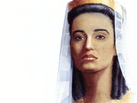 Cette illustration peut être utilisée pour représenter quasi toute reine ou femme de la haute société. – Numéro de diapositive 6