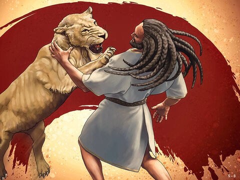 Sur le chemin qui menait à Thimna, un jeune lion attaqua Samson. L’Esprit de l’Éternel saisit Samson avec une grande puissance. Samson déchira le lion de ses mains nues. Mais il ne dit rien à personne de ce qu’il avait fait.<br/>Quelque temps plus tard, Samson retourna à Thimna pour se marier avec sa femme philistine. Sur le chemin, il vit le corps du lion mort et trouva à l’intérieur un essaim d’abeilles. Elles avaient fait du miel. Samson prit du miel dans ses mains et en mangea en continuant sa route. Quand il eut rejoint ses parents, il leur en donna. – Numéro de diapositive 3