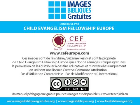 Pour compléter ces images, vous pouvez télécharger gratuitement la leçon correspondante (disponible uniquement en anglais), incluant des idées pour l’enseignement, etc. – Numéro de diapositive 7