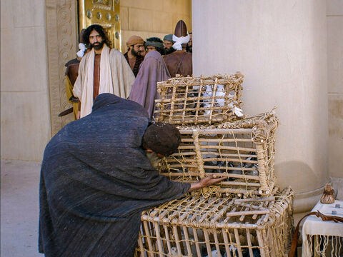 Après être entré triomphalement dans Jérusalem, Jésus pénétra dans le parvis du temple. – Numéro de diapositive 1