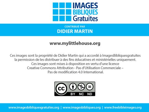Numéro de diapositive 15