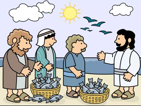 Les hommes revinrent jusqu’au rivage avec énormément de poissons à vendre au marché. Quel miracle merveilleux avait fait Jésus! – Numéro de diapositive 10