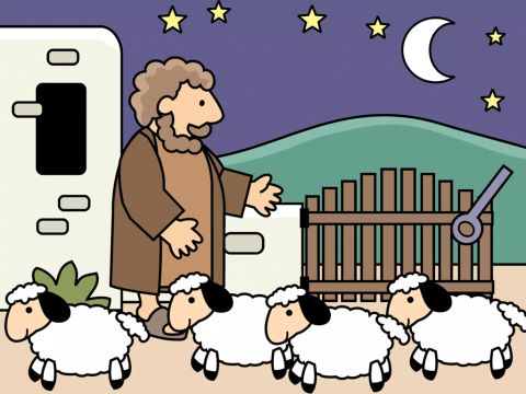 Chaque soir, il comptait pour s’assurer que tous les moutons étaient revenus du pâturage. – Numéro de diapositive 2