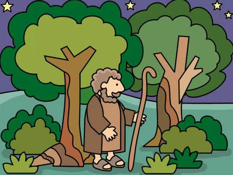 Il regarda partout. Dans la forêt... – Numéro de diapositive 6