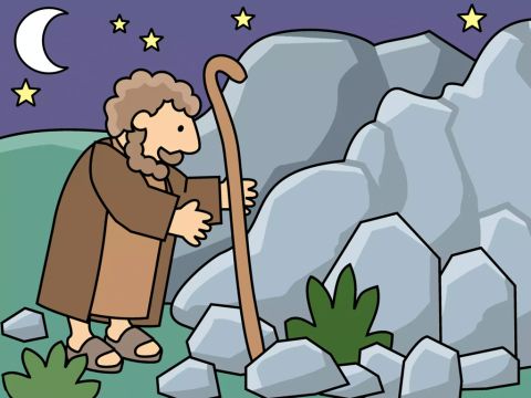 ... et même entre les rochers. – Numéro de diapositive 8