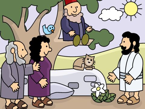 Tandis que Jésus marchait avec ses disciples, de nombreuses personnes se pressaient autour de lui pour le voir. Zachée avait la meilleure vue de tous, car il était perché dans un arbre ! – Numéro de diapositive 4