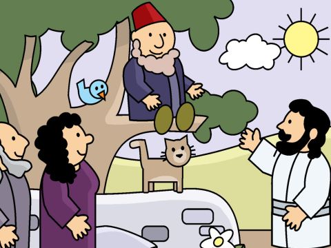 Alors que Jésus marchait sous l’arbre, il leva les yeux et appela Zachée : “ Descends, Zachée ! “ dit Jésus. “ Je veux aller chez toi.” – Numéro de diapositive 5
