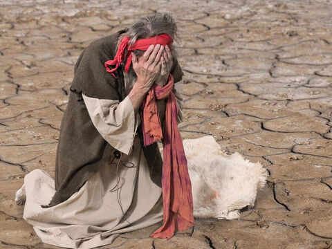 Elie refusa d’abandonner. Dieu avait promis d’envoyer la pluie, et Dieu tient ses promesses. Il pria une quatrième fois. – Numéro de diapositive 12