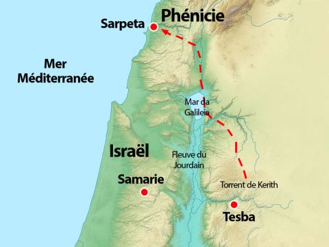 Carte facultative. Sur cette carte se trouvent Sarepta de Sidon, une contrée au nord d’Israël, et une trajectoire qu’Elie aurait pu emprunter pour éviter de se faire repérer par ceux qui le recherchaient. – Numéro de diapositive 15