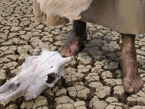 Durant tout ce temps, il n’y eut pas une goutte de pluie ni aucune rosée matinale. Le roi Achab chercha Elie en tout lieu mais ne le trouva pas. Les plantes, les cultures et les animaux, commençaient à mourir de soif. – Numéro de diapositive 11