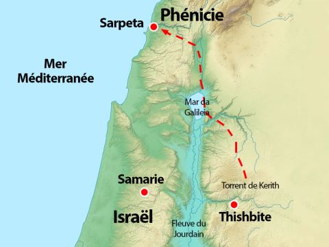 Elie se dirigea vers la Phénicie, dans la région de Sidon, dans la ville de Sarepta. Quand il arriva à la porte de la ville, il vit une veuve qui ramassait du bois. – Numéro de diapositive 4