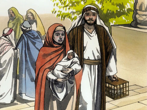 Et, quand les jours de leur purification furent accomplis, selon la loi de Moïse, Joseph et Marie portèrent Jésus à Jérusalem, pour le présenter au Seigneur – suivant ce qui est écrit dans la loi du Seigneur: “Tout mâle premier-né sera consacré au Seigneur.” – Numéro de diapositive 1