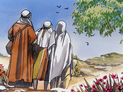 Mais ils ne comprirent pas ce qu’il leur disait. Puis il descendit avec eux pour aller à Nazareth, et il leur était soumis. – Numéro de diapositive 11