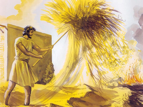 Il a son van à la main; il nettoiera son aire, et il amassera son blé dans le grenier, mais il brûlera la paille dans un feu qui ne s’éteint point.” – Numéro de diapositive 12