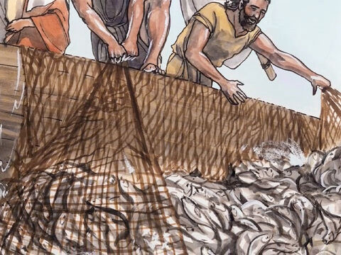 L’ayant jeté, ils prirent une grande quantité de poissons, et leur filet se rompait. – Numéro de diapositive 7