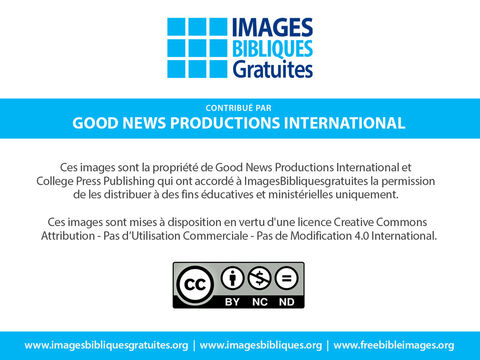Une vidéo de ce récit est disponible gratuitement dans plusieurs résolutions et langues sur: www.gnpi.org/media/the-global-gospel. – Numéro de diapositive 11