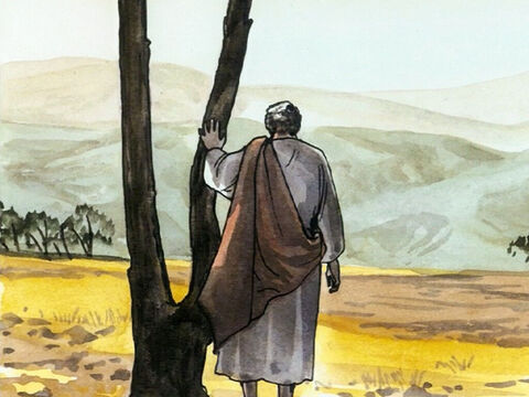 Et lui, il se retirait dans les déserts, et priait. – Numéro de diapositive 7