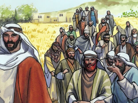 Ses disciples arrachaient des épis et les mangeaient, après les avoir froissés dans leurs mains. – Numéro de diapositive 2