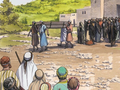 Le jour suivant, Jésus alla dans une ville appelée Naïn; ses disciples et une grande foule faisaient route avec lui. – Numéro de diapositive 1