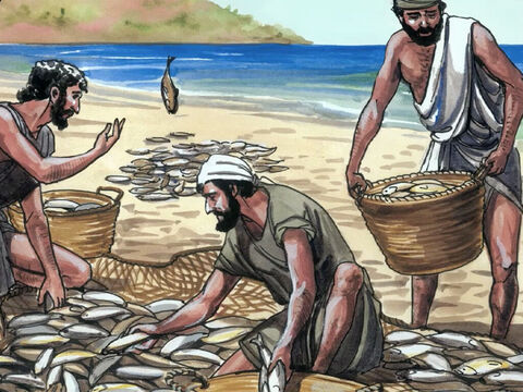 Le royaume des cieux est encore semblable à un filet jeté dans la mer et ramassant des poissons de toute espèce. Quand il est rempli, les pêcheurs le tirent; et, après s’être assis sur le rivage, ils mettent dans des vases ce qui est bon, et ils jettent ce qui est mauvais. – Numéro de diapositive 6