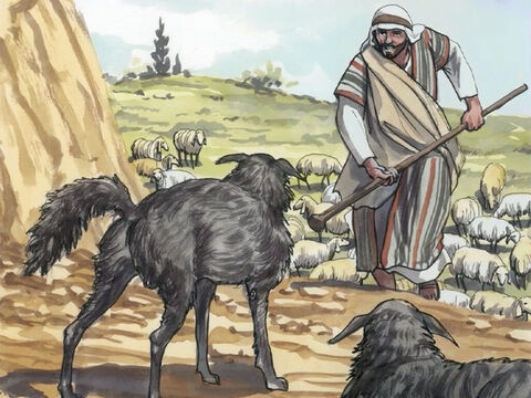 Voyant la foule, il fut ému de compassion pour elle, parce qu’elle était languissante et abattue, comme des brebis qui n’ont point de berger. – Numéro de diapositive 4