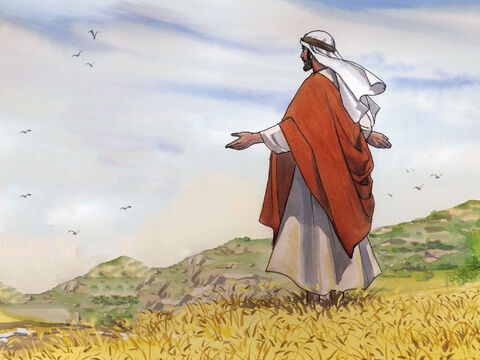 Alors il dit à ses disciples: “La moisson est grande, mais il y a peu d’ouvriers. Priez donc le maître de la moisson d’envoyer des ouvriers dans sa moisson.” – Numéro de diapositive 5