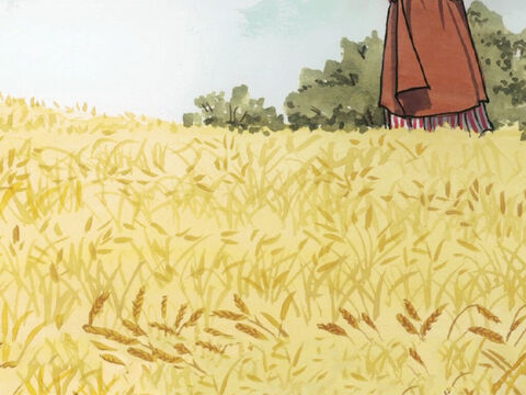 un grain cent, un autre soixante, un autre trente. Que celui qui a des oreilles pour entendre entende.” – Numéro de diapositive 9