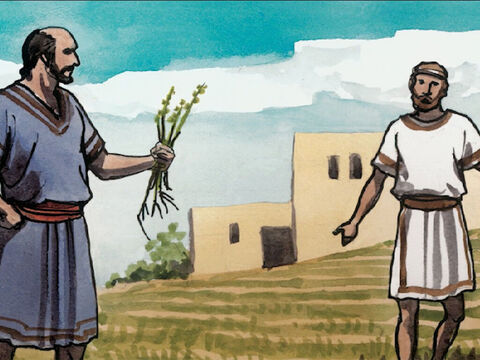 Les serviteurs du maître de la maison vinrent lui dire: “Seigneur, n’as-tu pas semé une bonne semence dans ton champ? D’où vient donc qu’il y a de l’ivraie?” – Numéro de diapositive 5