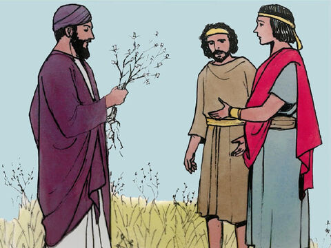 Il leur répondit: “C’est un ennemi qui a fait cela. Et les serviteurs lui dirent: Veux-tu que nous allions l’arracher? Non, dit-il, de peur qu’en arrachant l’ivraie, vous ne déraciniez en même temps le blé. Laissez croître ensemble l’un et l’autre jusqu’à la moisson, – Numéro de diapositive 6