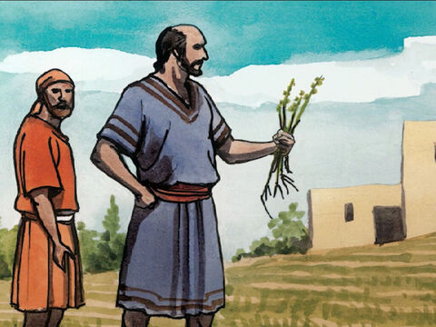 Ses disciples s’approchèrent de lui, et dirent: “Explique-nous la parabole de l’ivraie du champ.” – Numéro de diapositive 16