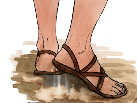 et secouez la poussière de vos pieds, afin que cela leur serve de témoignage. – Numéro de diapositive 6