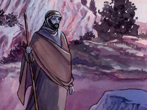 23 Quand il l’eut renvoyée, il monta sur la montagne, pour prier à l’écart; – Numéro de diapositive 2