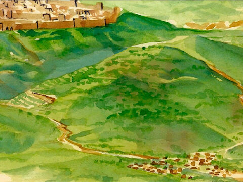 Lorsqu'ils approchèrent de Jérusalem et qu'ils furent arrivés à Bethphagé, vers le mont des Oliviers, – Numéro de diapositive 1
