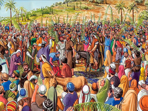Ceux qui précédaient et ceux qui suivaient Jésus criaient: «Hosanna au Fils de David! Béni soit celui qui vient au nom du Seigneur! Hosanna dans les lieux très hauts!» – Numéro de diapositive 7