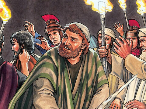 Voyant ce qui allait arriver, ceux qui étaient avec Jésus dirent: «Seigneur, devons-nous frapper avec l'épée?» – Numéro de diapositive 13