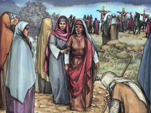 qui suivaient Jésus et le servaient lorsqu'il était en Galilée, et beaucoup d’autres femmes qui étaient aussi montées avec lui à Jérusalem. – Numéro de diapositive 11