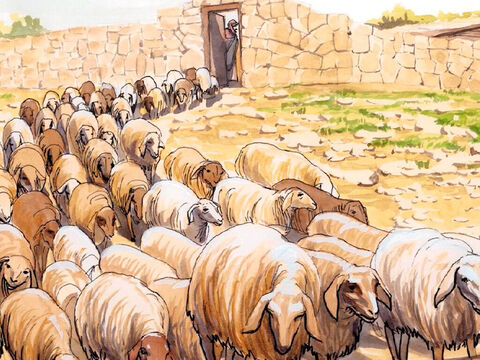 Jésus lui dit: «Nourris mes brebis. En vérité, en vérité, je te le dis, quand tu étais plus jeune, tu mettais toi-même ta ceinture et tu allais où tu voulais; mais quand tu seras vieux, tu tendras les mains et c’est un autre qui attachera ta ceinture et te conduira où tu ne voudras pas.» – Numéro de diapositive 16