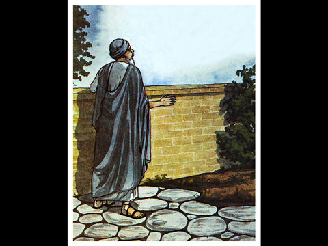 Le Seigneur lui dit alors: «Lève-toi, va dans la rue qu'on appelle la droite et, dans la maison de Judas, demande un dénommé Saul de Tarse. En effet, il prie et il a vu en vision un homme appelé Ananias entrer et poser les mains sur lui afin qu'il retrouve la vue.» – Numéro de diapositive 10