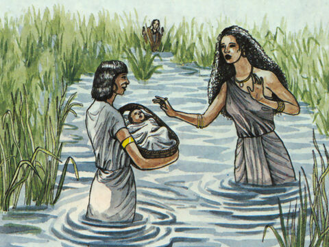 et, quand il a été abandonné, la fille du pharaon l’a adopté et l'a élevé comme son fils. – Numéro de diapositive 3
