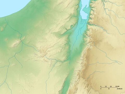 Carte des régions situées au Sud de la Mer Morte. À l’Ouest, le désert du Néguev et à l’Est, le Désert du Nord de l’Arabie. – Numéro de diapositive 5