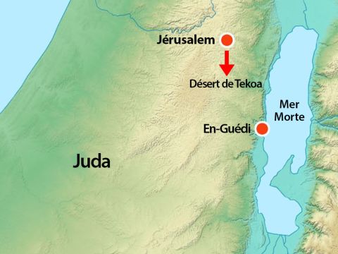 Tôt le matin, ils partirent pour le désert de Tekoa. Alors qu'ils partaient, Josaphat se leva et leur dit: "Ecoutez-moi, Judéens et habitants de Jérusalem! Ayez confiance en l'Eternel, votre Dieu, et vous serez affermis. Ayez confiance en ses prophètes et vous réussirez." – Numéro de diapositive 10