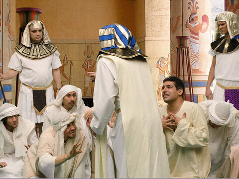 Quand Joseph arrive, ils s’inclinent et lui remettent leurs cadeaux. “Comment va votre père, le vieil homme dont vous m’avez parlé? Est-il toujours vivant?” demande Joseph. Ils s’inclinent à nouveau et répondent: “Notre père, votre serviteur, est bel et bien vivant.” – Numéro de diapositive 12