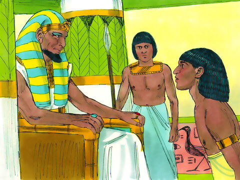 Pharaon dit à Joseph: "Dis à tes frères: chargez vos bêtes et partez pour le pays de Canaan; prenez votre père et vos familles et venez vers moi. Je vous donnerai ce qu'il y a de meilleur en Egypte et vous mangerez les meilleurs produits du pays. Prenez des chariots pour les ramener". – Numéro de diapositive 18