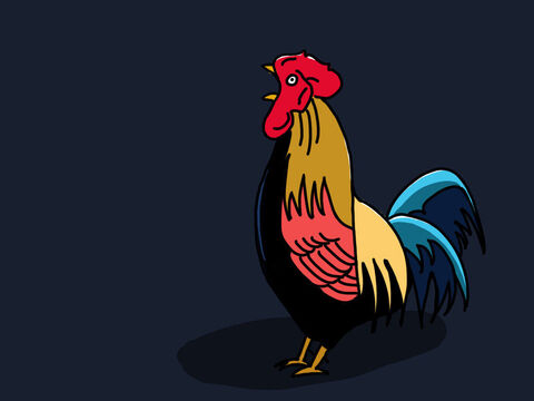 C’est alors que l’on entendit le coq chanter sur Jérusalem, au petit matin. – Numéro de diapositive 36