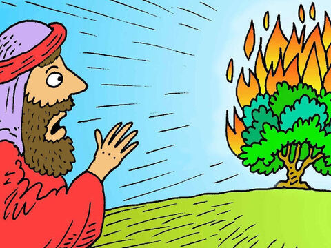 Un jour, Moïse était en train de garder ses brebis quand il vit un feu dans un petit buisson. Comme le buisson ne se consumait pas, il s’approcha pour regarder, et Dieu lui parla depuis le buisson. – Numéro de diapositive 1