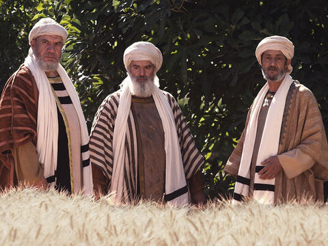 Or, les pharisiens avaient mis en place leurs propres règles, très strictes, édictant ce que les gens pouvaient faire et ne pas faire le jour du sabbat. Quand ils virent les disciples arracher quelques épis de grains, ils se mirent à les accuser de “faire la récolte” le jour du sabbat. “Pourquoi faites-vous ce qu’il n’est pas permis de faire pendant le sabbat?”, leur dirent-ils. – Numéro de diapositive 5