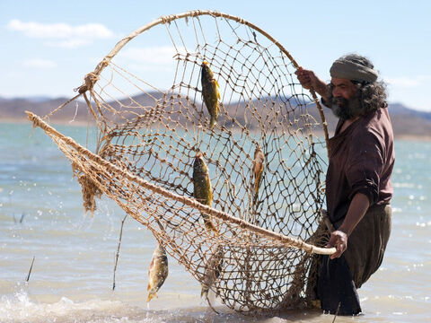 Il existait deux principales méthodes de pêche au filet: l'épervier et le filet traînant. Il existait deux types d'éperviers, l'un à mailles plus petites pour les sardines, l'autre à mailles plus grandes pour les gros poissons. – Numéro de diapositive 11