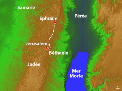 Six jours avant la Pâque, ils arrivèrent à Béthanie, près de Jérusalem, à la maison de Lazare, de Marie et de Marthe. – Numéro de diapositive 14